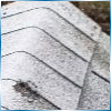 Royal Peaks Roofing | Wind Roof Damage
